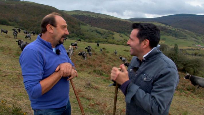 Aquí la Tierra - Vacas que predicen el tiempo