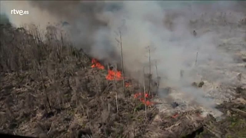 En Portada - Ecocidio - Avance