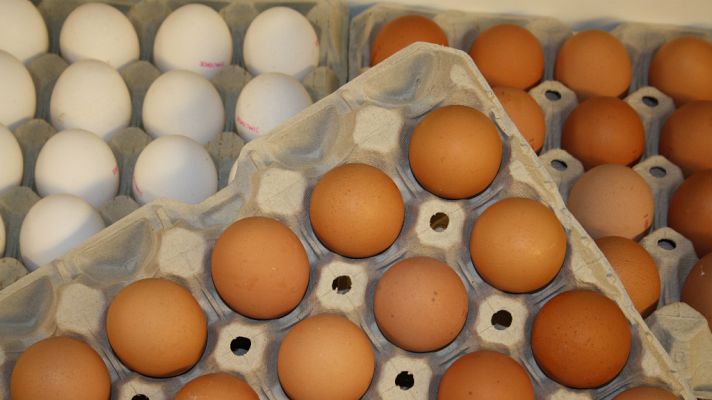 PlayChez - Reciclaje: la huevera