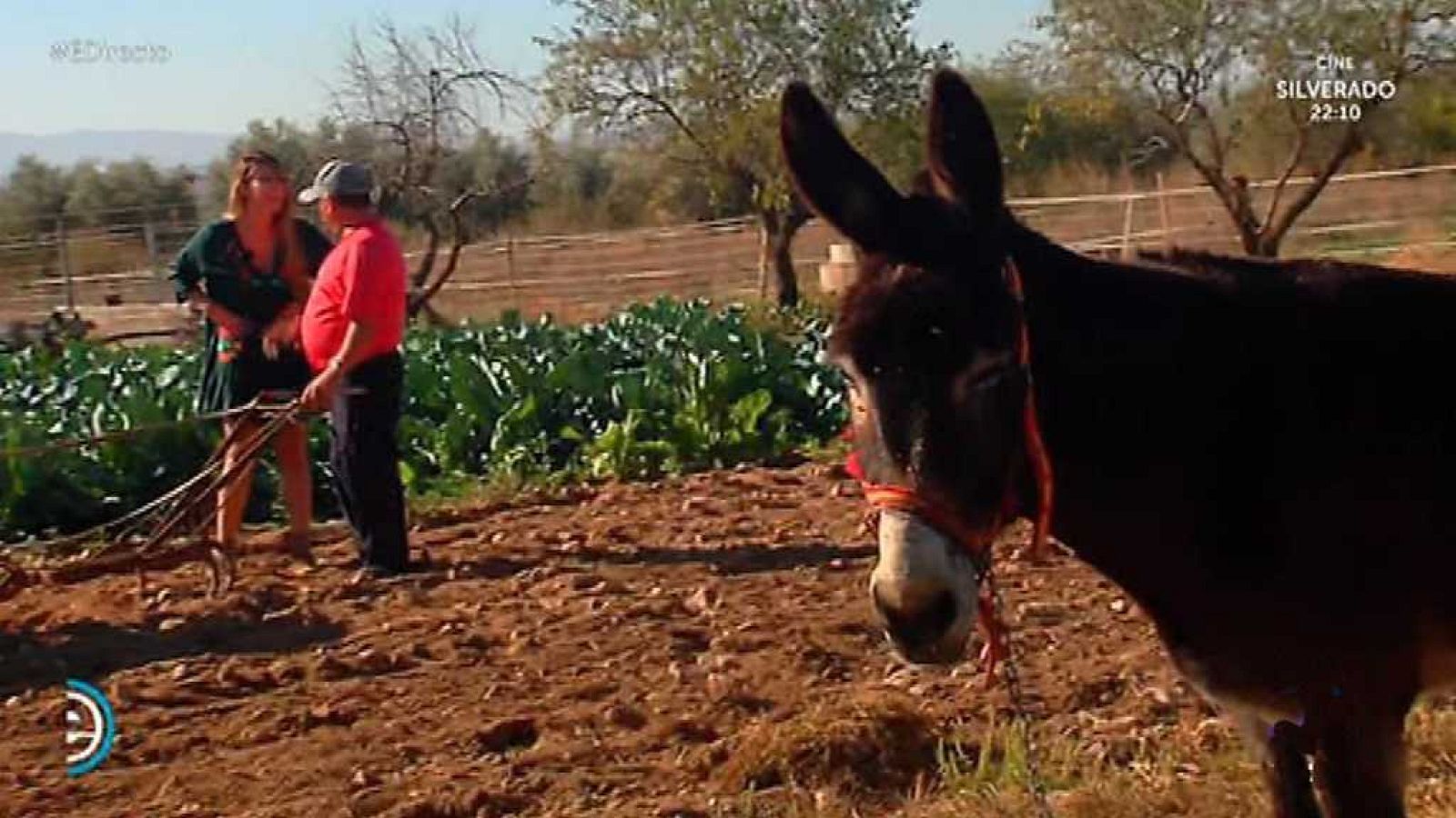España Directo - 10/11/17 - ver ahora