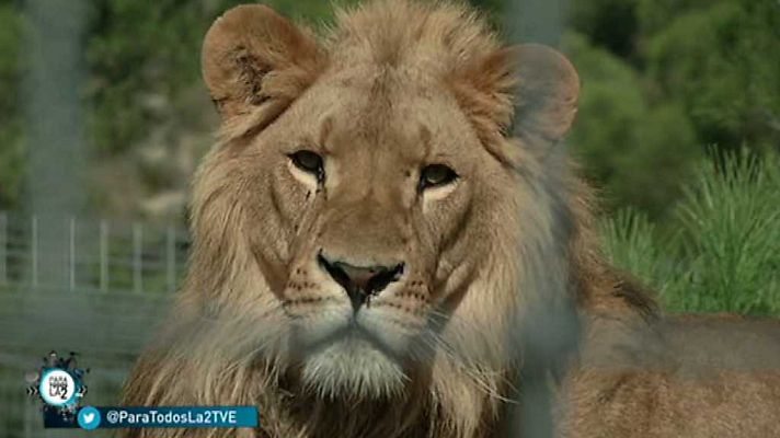 Para todos La 2 - Para todos La 2 - 23/12/2017