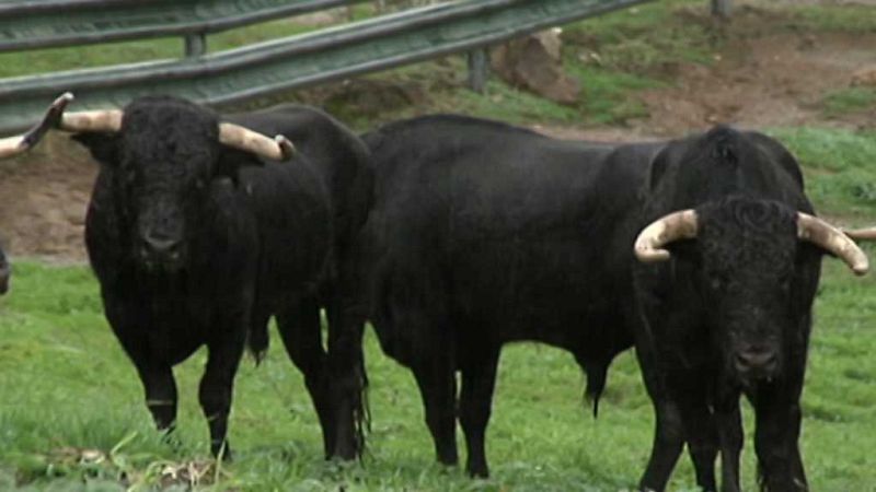 Tendido Cero - 11/11/17 - ver ahora