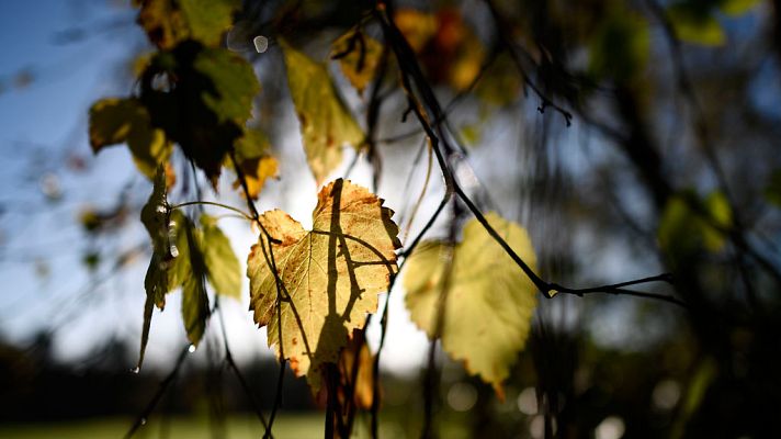 El tiempo - Soplará viento fuerte del norte y lloverá en el noreste y Baleares