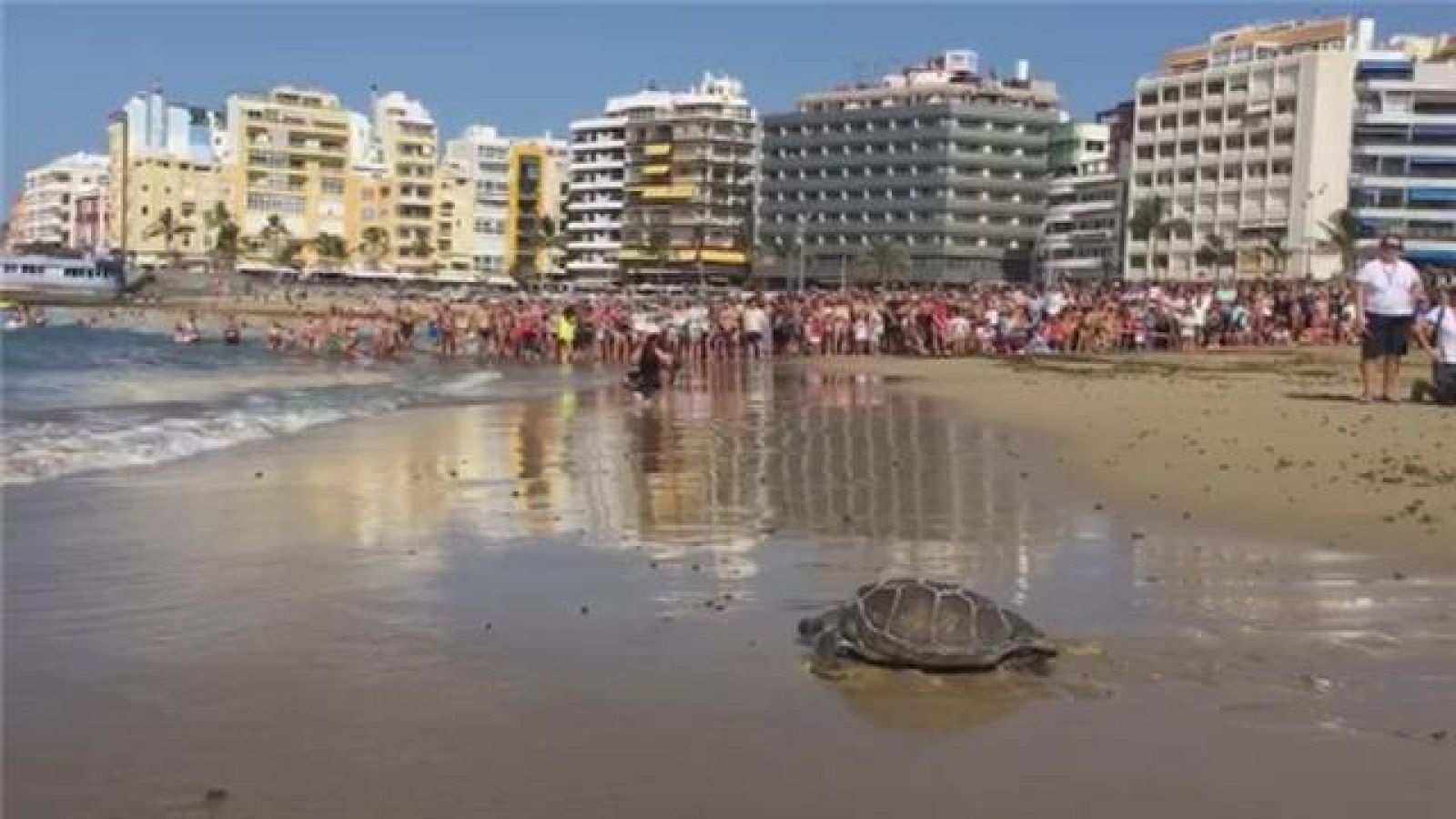 Telecanarias - 11/11/2017