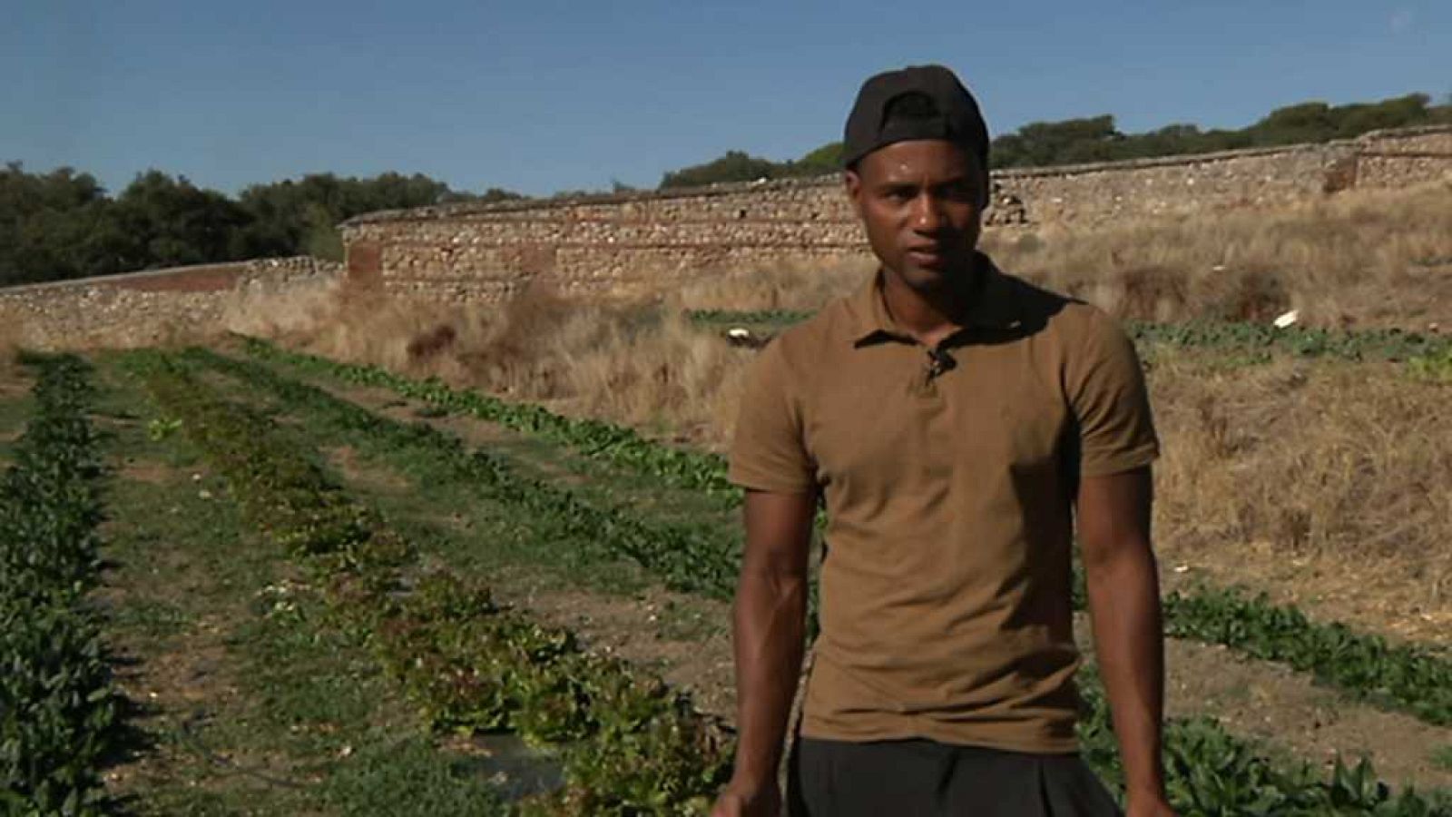 Testimonio - Huerto hermana tierra - ver ahora