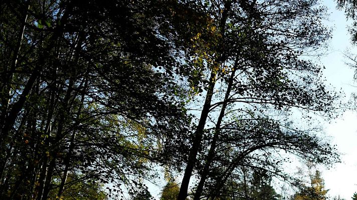 El tiempo - Descenso de temperaturas en todo el país