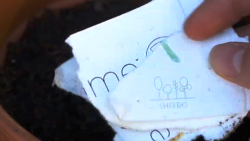 Fábrica de ideas - Inventa: Sheedo | Ver