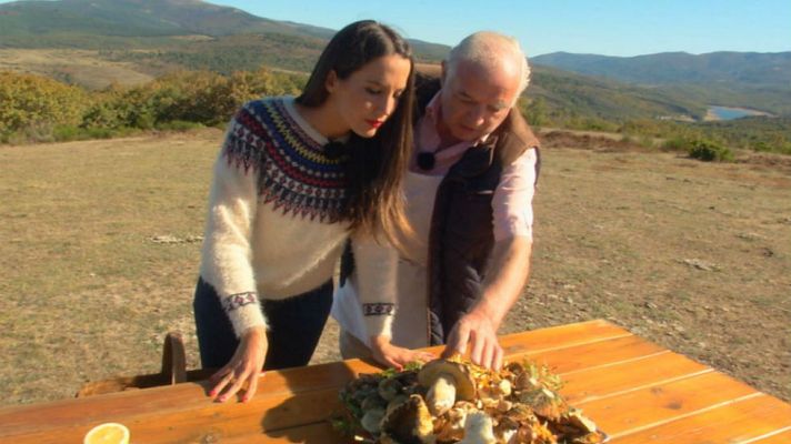 Aquí la Tierra - No es un año bueno para setas