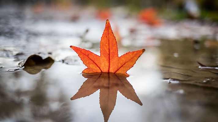 Informativo de Madrid - El Tiempo en la Comunidad de Madrid - 13/11/17