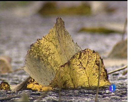 Panorama Regional - El tiempo en Asturias - 13/11/17