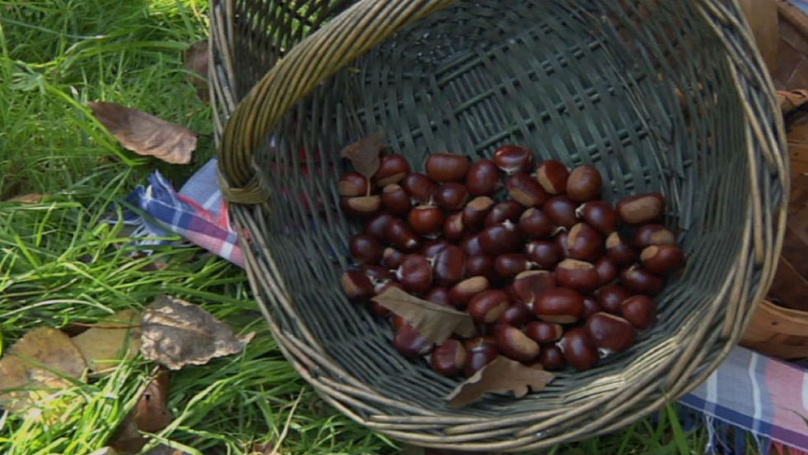 Los secretos del amagüestu