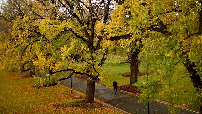 El tiempo - Cielos despejados y sin precipitaciones en la mayor parte del país