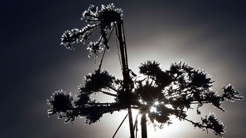 El Tiempo en la Comunidad de Madrid - 15/11/17