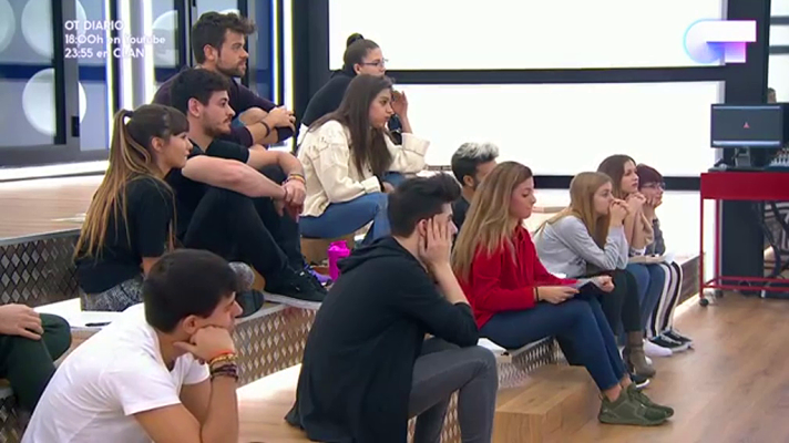 OT 2017 - El chat de OT será eurovisivo