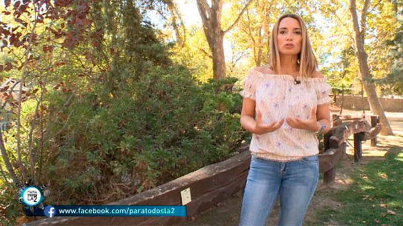 Para Todos La 2 - Patricia Ramírez consejos para no depender de los 'likes' de los demás