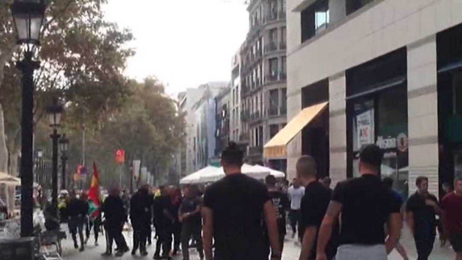 Telediario - 15 horas - 15/11/17 - ver ahora