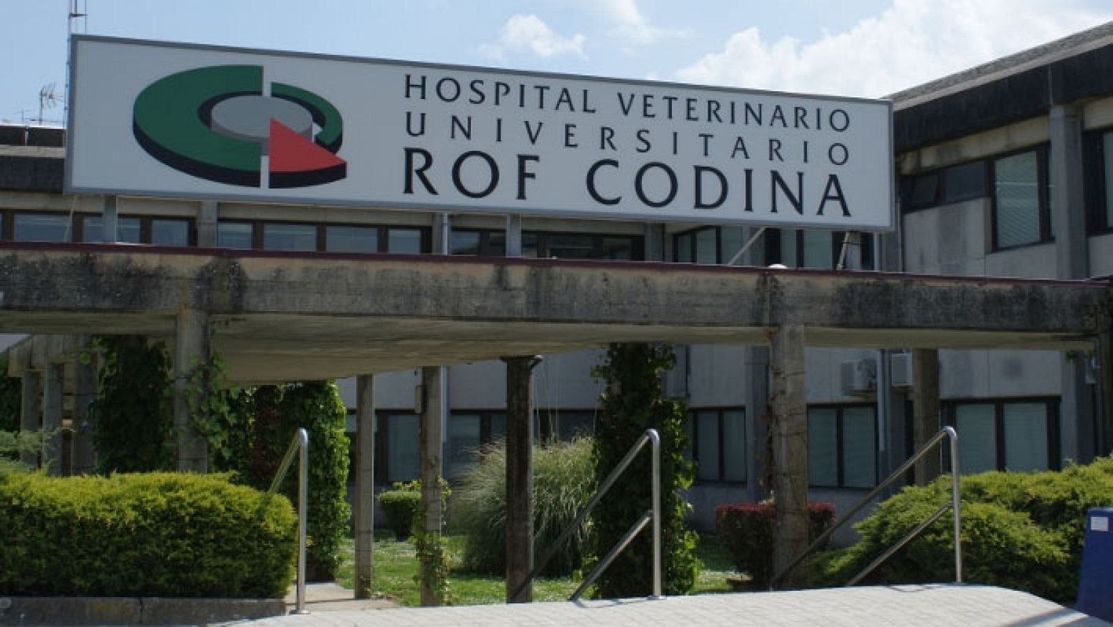 Orden de alejamiento para una pareja de Lugo por lanzar presuntamente a su perra por la ventana