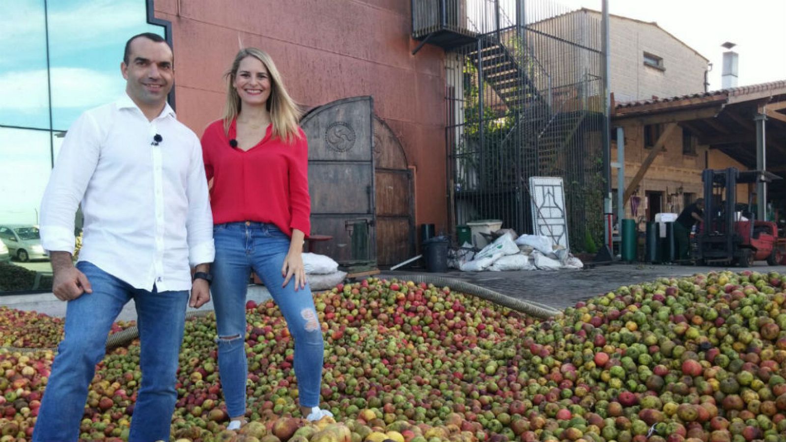 Toneladas de manzanas para sidra