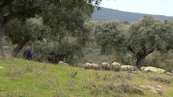 Agrosfera - Agrosfera - 18/11/17