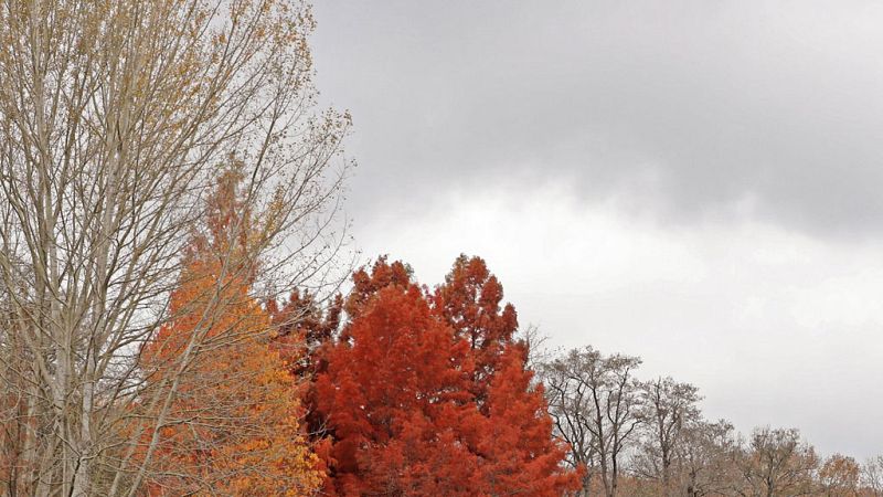 Cielo despejado y temperaturas sin cambios en toda la geografía