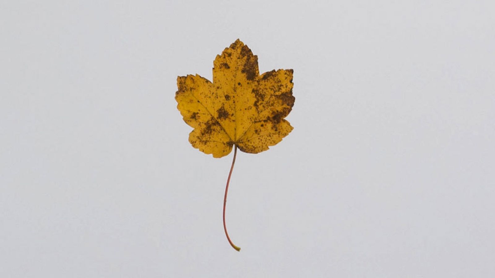 El anticiclón seguirá sobre el país con predominio de tiempo estable