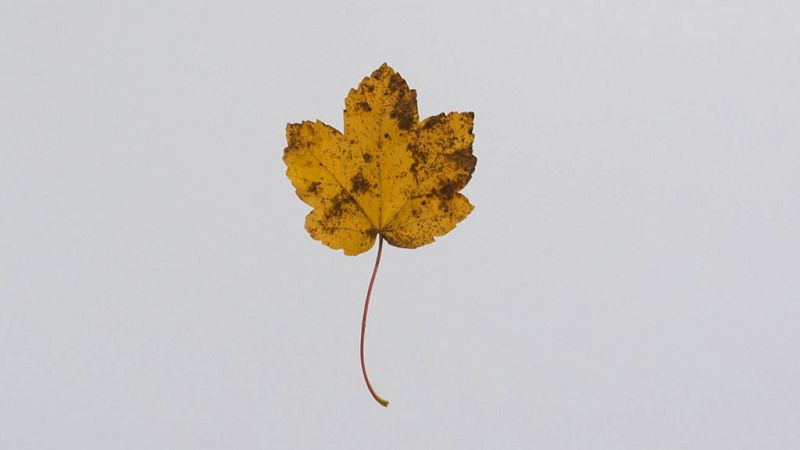 El anticiclón seguirá sobre el país con predominio de tiempo estable