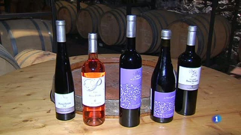 El vi kosher de la cooperativa de Capçanes