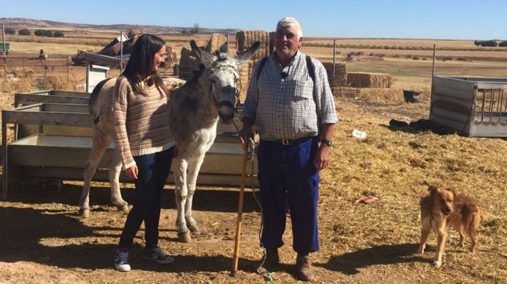 Aquí la Tierra - Pastor: las cosas han cambiado