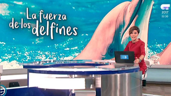 España Directo - España Directo - 20/11/17