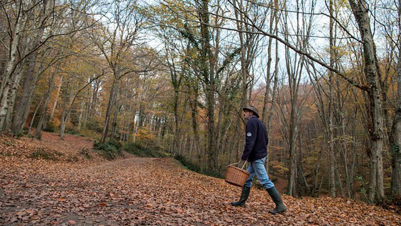 Situación estable en la mayor parte del país con cielos despejados