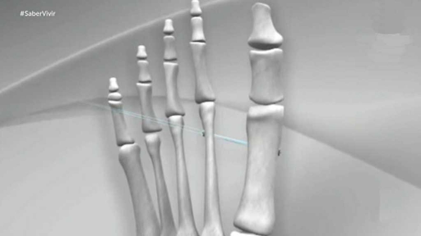 Saber vivir - 21/11/17 - ver ahora