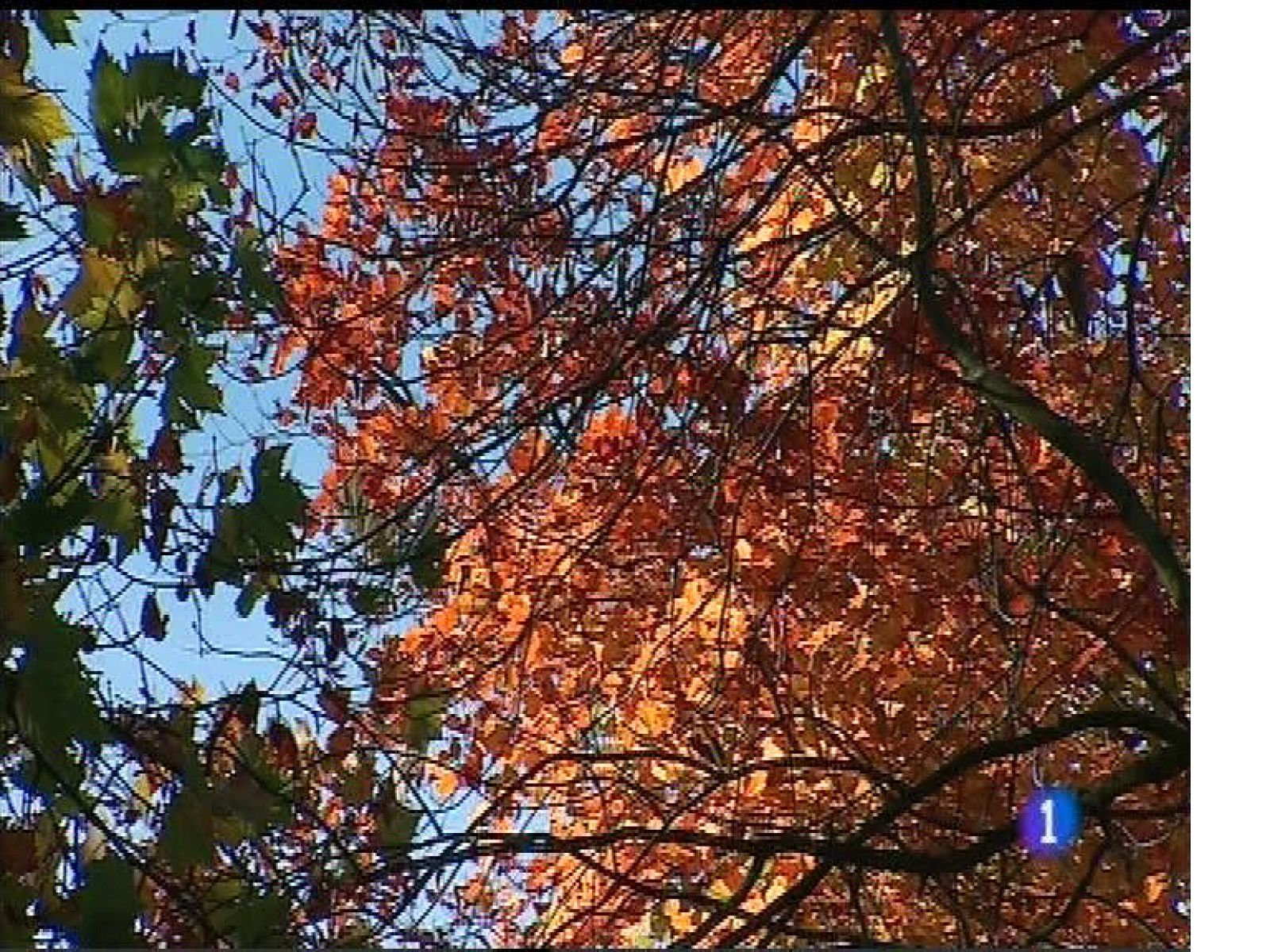 El tiempo en Asturias - 21/11/17 | Ver