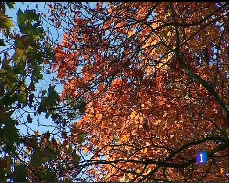 El tiempo en Asturias - 21/11/17 | Ver