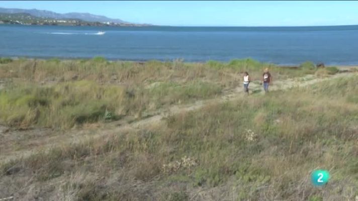 80 cm - Delta del Ebro