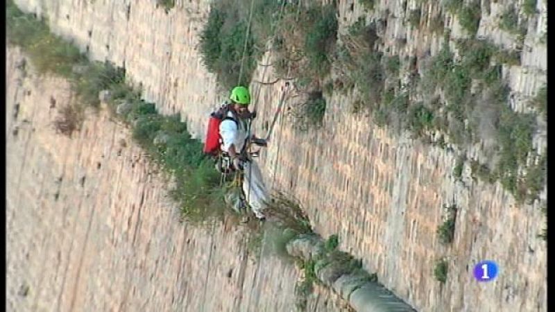 La restauració de les muralles d'Eivissa durarà dos anys.
