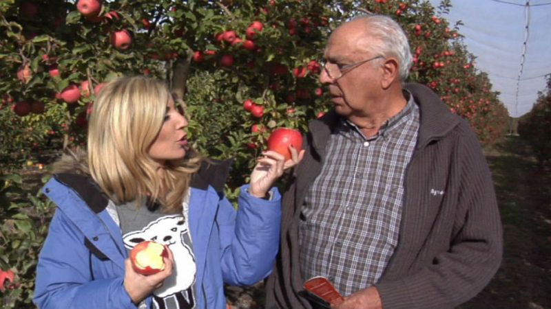 Pink Lady: bombón vegetal