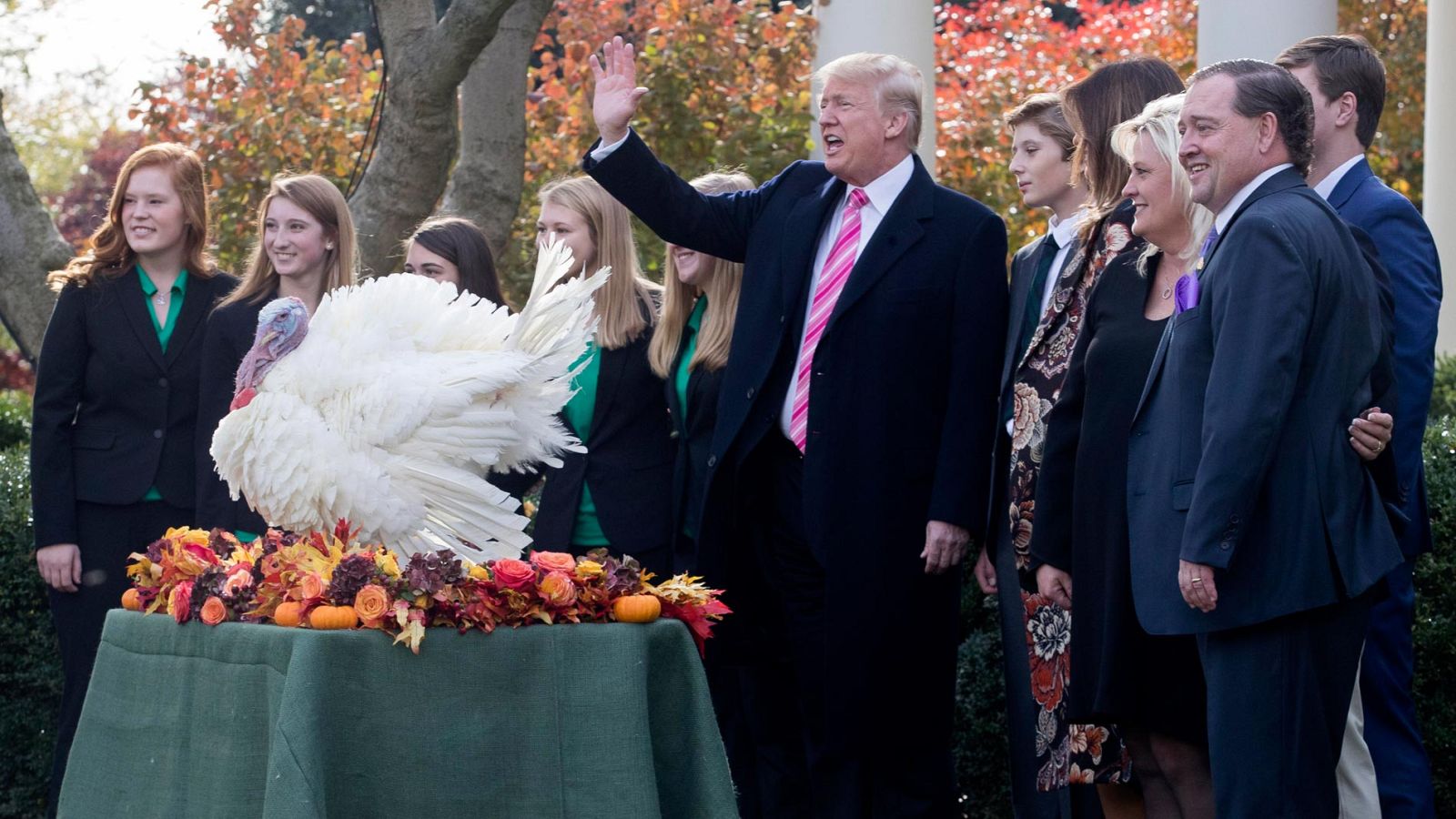 El presidente de EEUU, Donald Trump, cumplió hoy con la tradición de indultar a dos pavos que se salvarán de ser degustados en Acción de Gracias, antes de partir hacia Palm Beach (Florida) para celebrar allí en familia esta festividad, la más popular