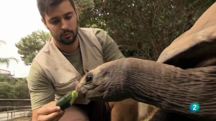 Cinc dies a... - Zoo de Barcelona