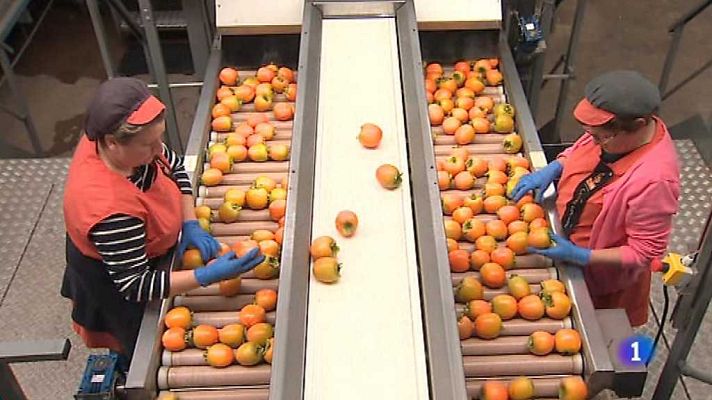 L'informatiu - Comunitat Valenciana - La Comunidad Valenciana en 2' - 22/11/17