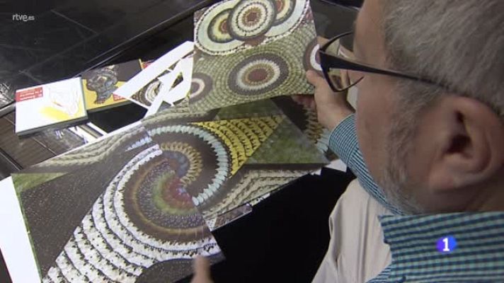  - "Alas para la imagen", un libro sobre el uso artístico de las alas de mariposa