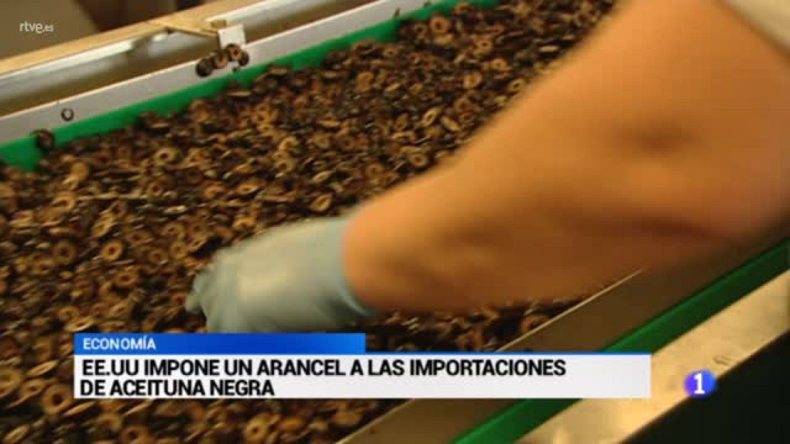 Preocupación en Andalucía por el arancel impuesto por EE.UU. a la aceituna negra española | Ver