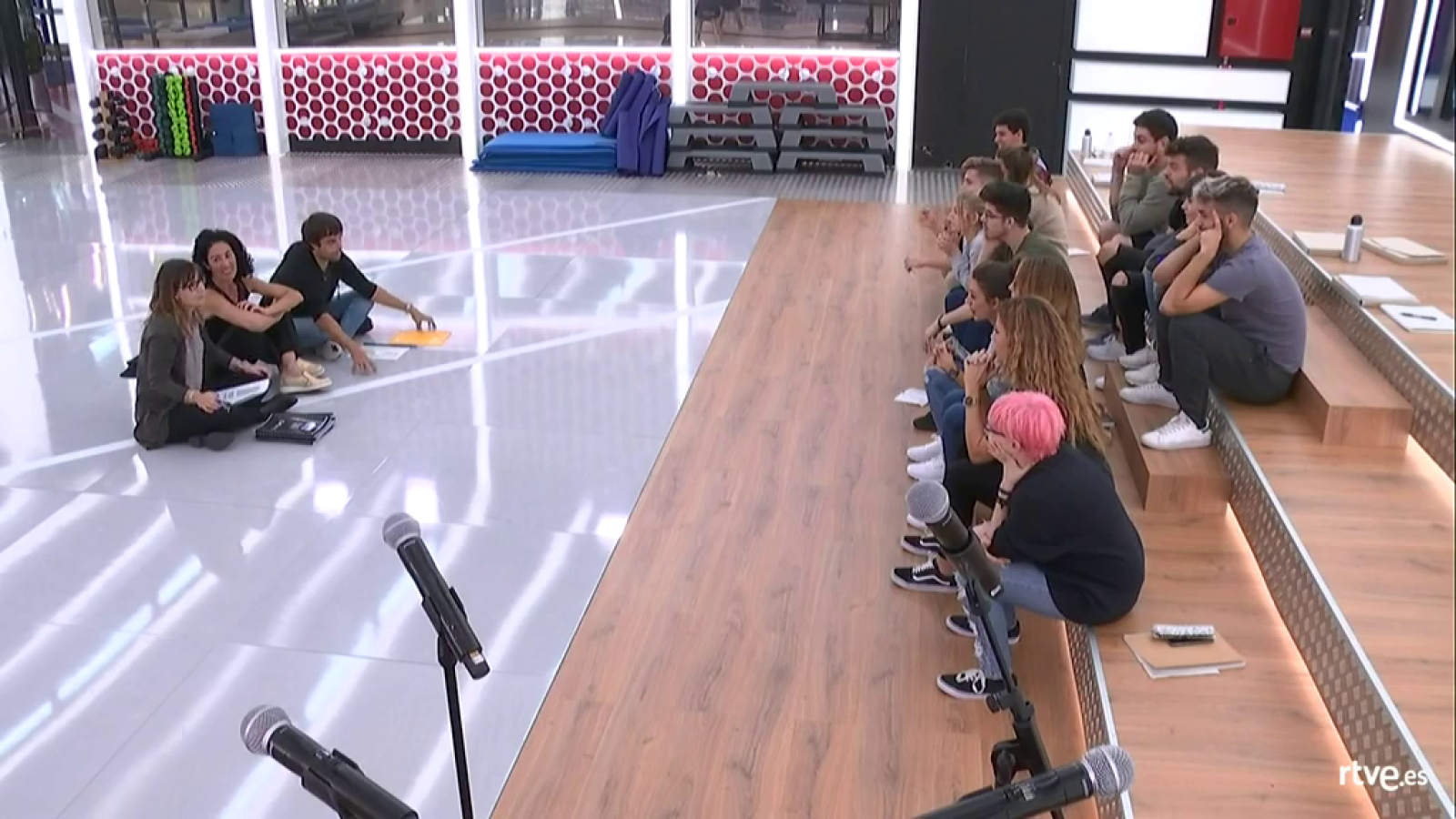 Operacin Triunfo - Resumen diario 22/11/17