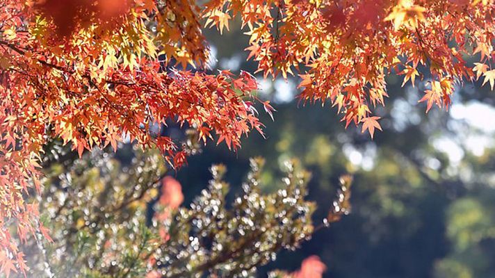 El tiempo - Las lluvias continúan en Galicia, con temperaturas superiores a lo normal en la vertiente atlántica y cantábrica