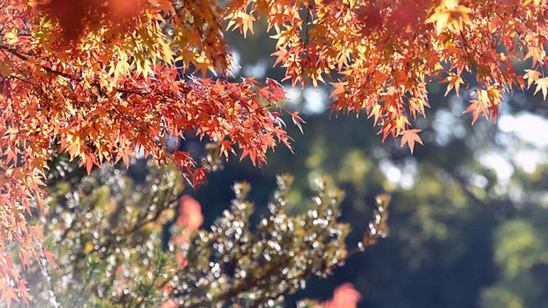 Las lluvias continúan en Galicia, con temperaturas superiores a lo normal en la vertiente atlántica y cantábrica