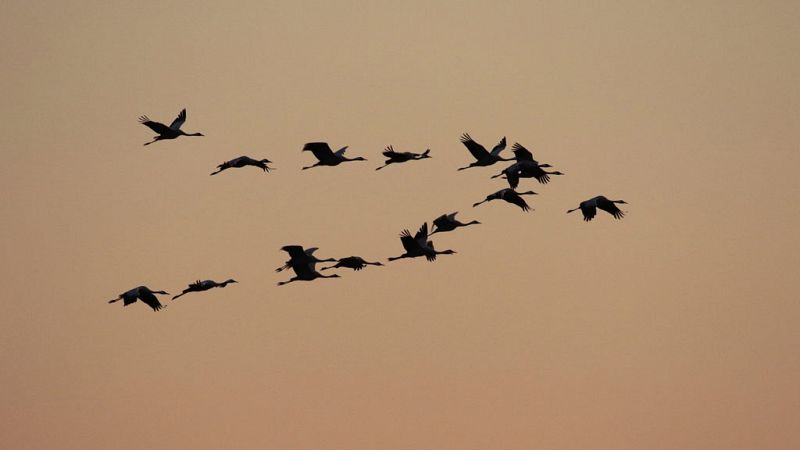 Se mantiene la inestabilidad en el noroeste con probables lluvias