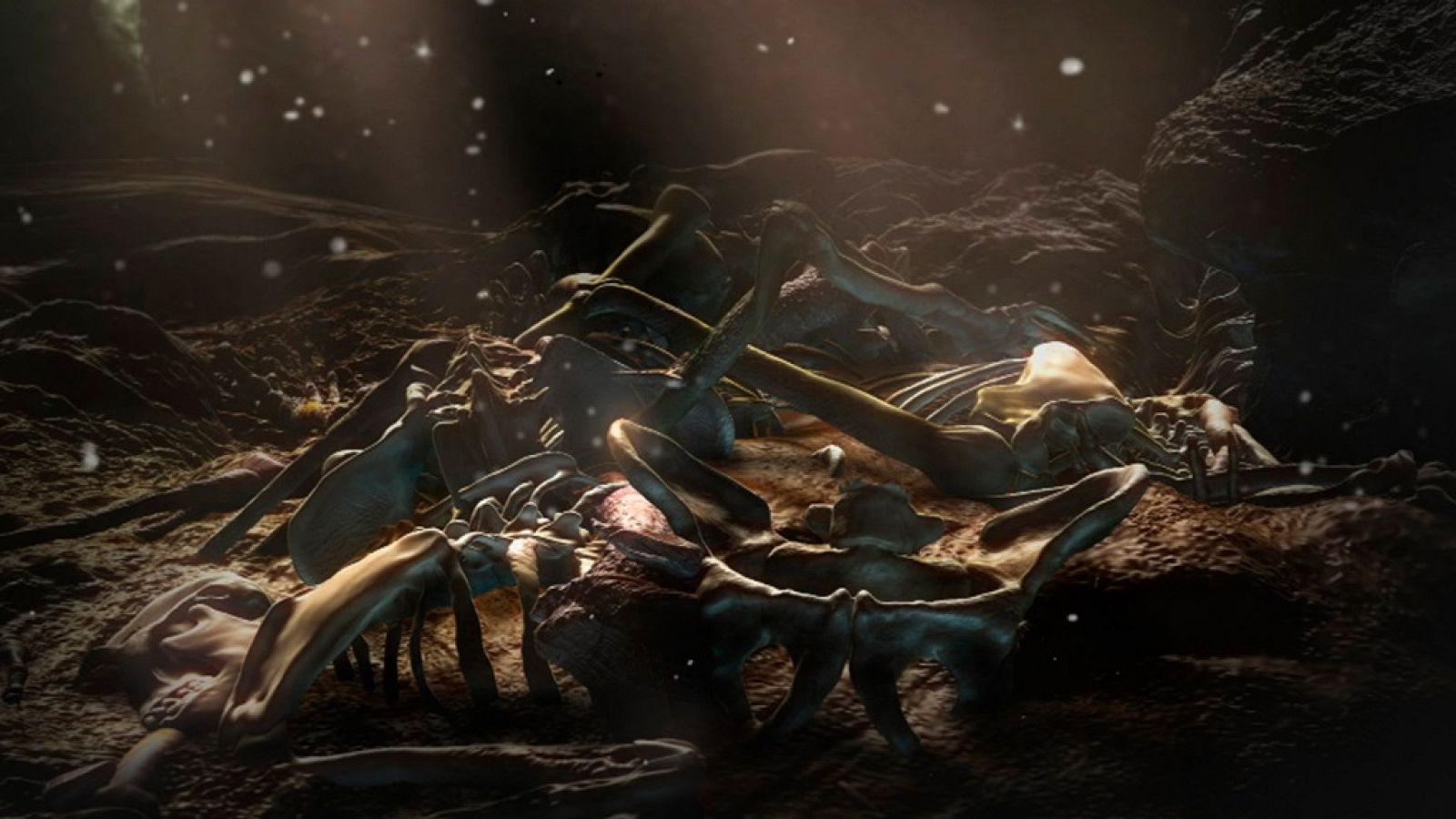 Documenta2 - La cuna de la humanidad - ver ahora