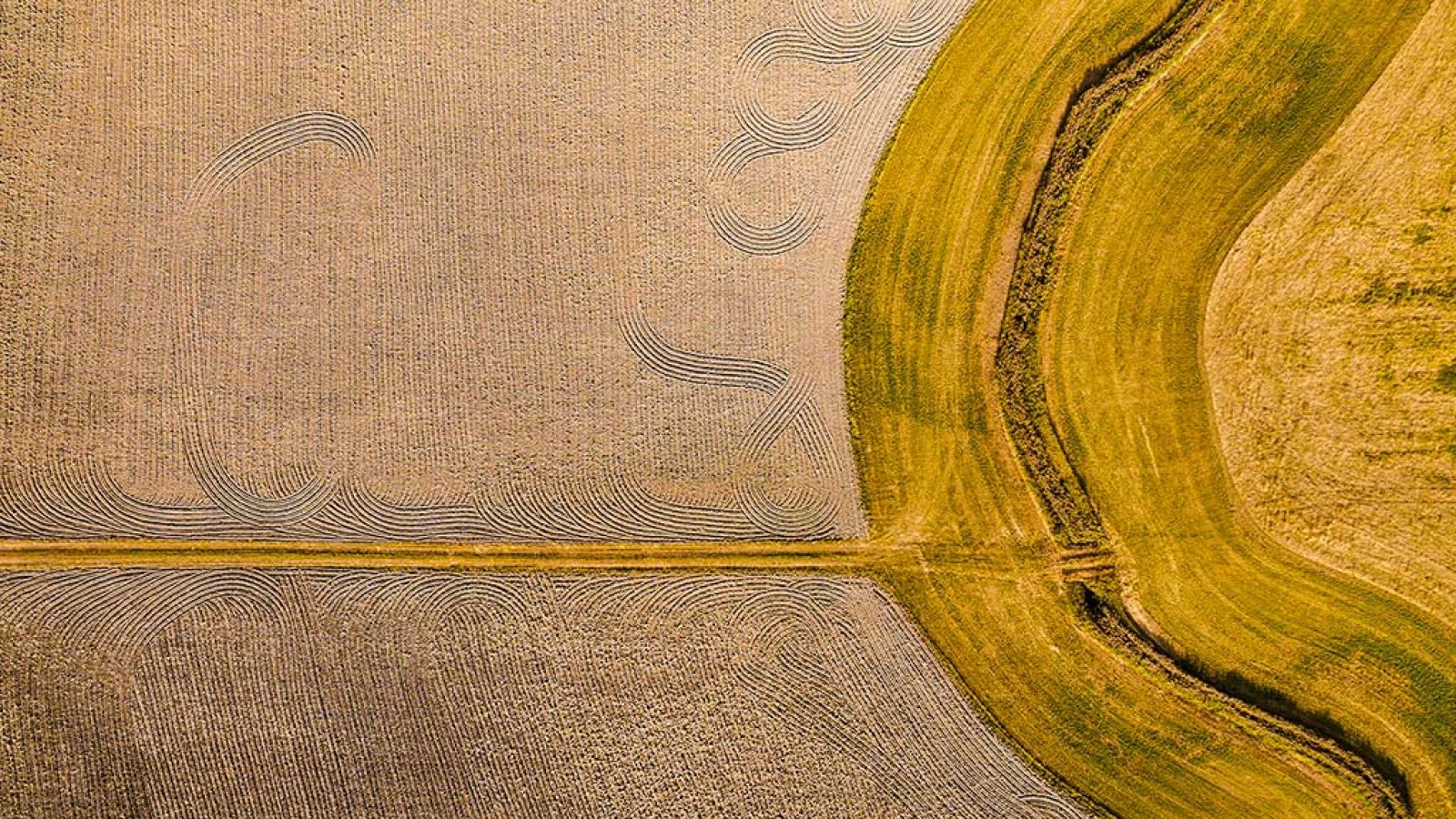 El documental - Huellas terrestres vistas desde el cielo: Land Art, arte misterioso y efímero - ver ahora