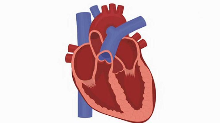 Saber vivir - Saber vivir - 24/11/17