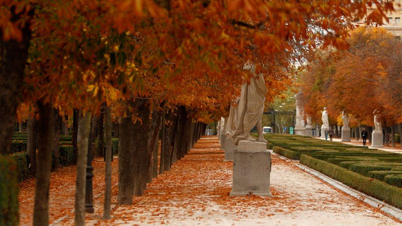 El Tiempo en la Comunidad de Madrid - 24/11/17