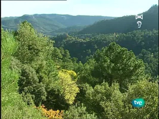 Espacios naturales - Cazorla, Segura y Las Villas - 2